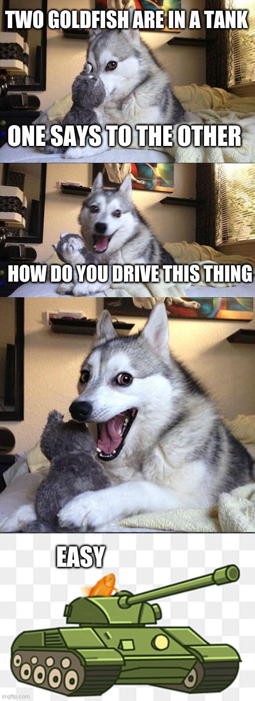>:0 | TWO GOLDFISH ARE IN A TANK; ONE SAYS TO THE OTHER; HOW DO YOU DRIVE THIS THING; EASY | image tagged in memes,bad pun dog | made w/ Imgflip meme maker