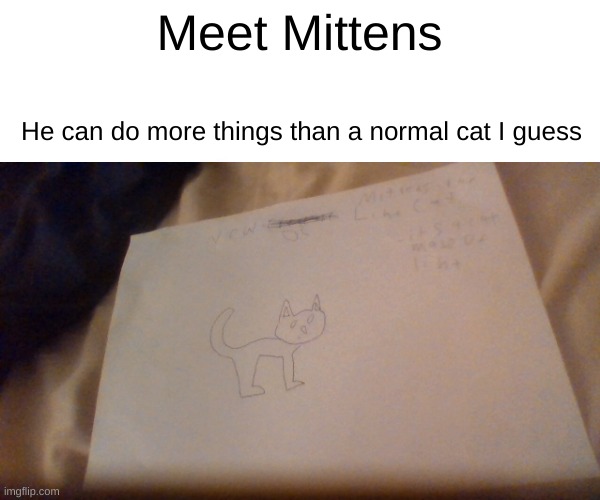 l i n t | Meet Mittens; He can do more things than a normal cat I guess | made w/ Imgflip meme maker
