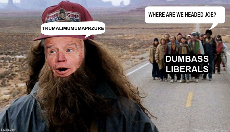 Stupid Liberals follow this fool | image tagged in stupid liberals,creepy joe biden,joe biden | made w/ Imgflip meme maker