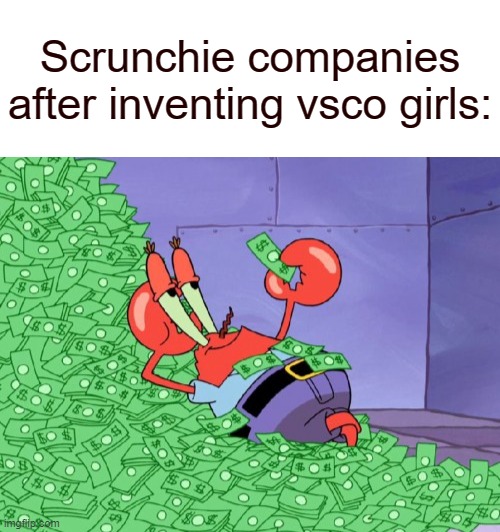  Scrunchie companies after inventing vsco girls: | image tagged in blank white template,mr krabs money,vsco | made w/ Imgflip meme maker