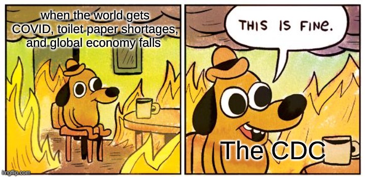 This Is Fine | when the world gets COVID, toilet paper shortages, and global economy falls; The CDC | image tagged in memes,this is fine | made w/ Imgflip meme maker