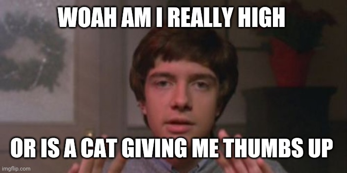 eric forman | WOAH AM I REALLY HIGH OR IS A CAT GIVING ME THUMBS UP | image tagged in eric forman | made w/ Imgflip meme maker