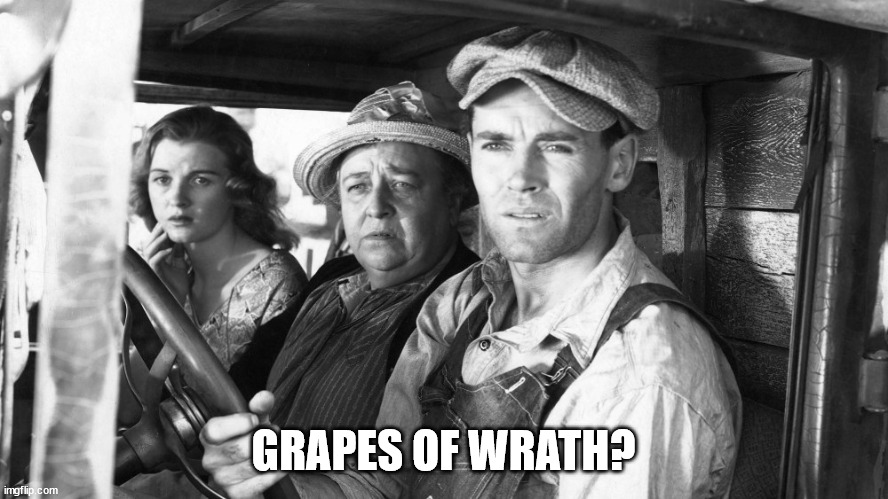 Grapes of Wrath | GRAPES OF WRATH? | image tagged in grapes of wrath | made w/ Imgflip meme maker