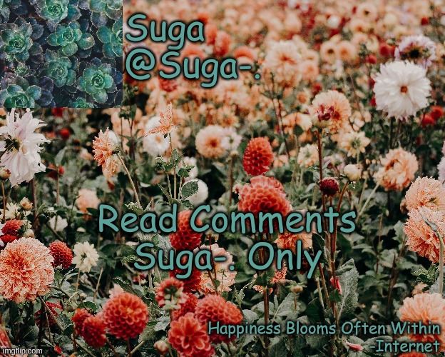 Suga-. Floral Temp | Read Comments Suga-. Only | image tagged in suga- floral temp | made w/ Imgflip meme maker