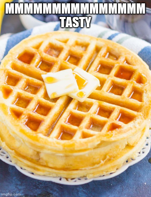 Waffles |  MMMMMMMMMMMMMMM TASTY | image tagged in waffles | made w/ Imgflip meme maker