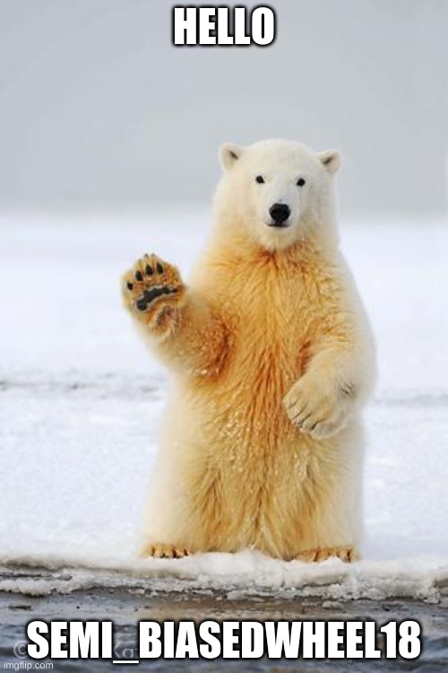 hello polar bear | HELLO; SEMI_BIASEDWHEEL18 | image tagged in hello polar bear | made w/ Imgflip meme maker