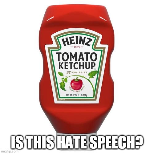 IS THIS HATE SPEECH? | image tagged in ketchup,hate speech | made w/ Imgflip meme maker