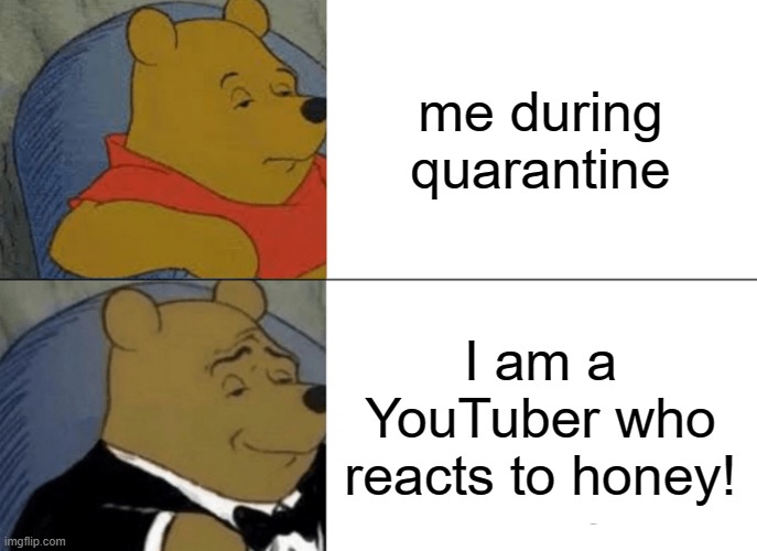 Tuxedo Winnie The Pooh Meme | me during quarantine; I am a YouTuber who reacts to honey! | image tagged in memes,tuxedo winnie the pooh | made w/ Imgflip meme maker