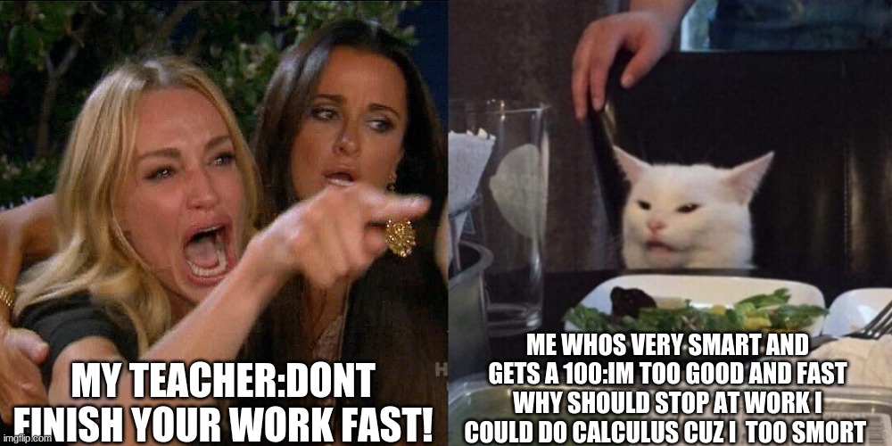 Woman yelling at cat |  MY TEACHER:DONT FINISH YOUR WORK FAST! ME WHOS VERY SMART AND GETS A 100:IM TOO GOOD AND FAST WHY SHOULD STOP AT WORK I COULD DO CALCULUS CUZ I  TOO SMORT | image tagged in woman yelling at cat | made w/ Imgflip meme maker