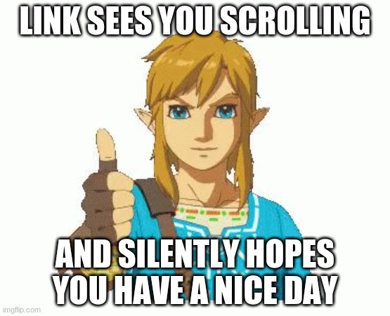 Link Thumbs Up | LINK SEES YOU SCROLLING; AND SILENTLY HOPES YOU HAVE A NICE DAY | image tagged in link thumbs up | made w/ Imgflip meme maker