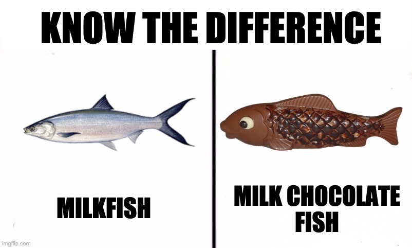 Know the Difference Psychic and Side Kick | KNOW THE DIFFERENCE; MILK CHOCOLATE
FISH; MILKFISH | image tagged in know the difference psychic and side kick,fish | made w/ Imgflip meme maker