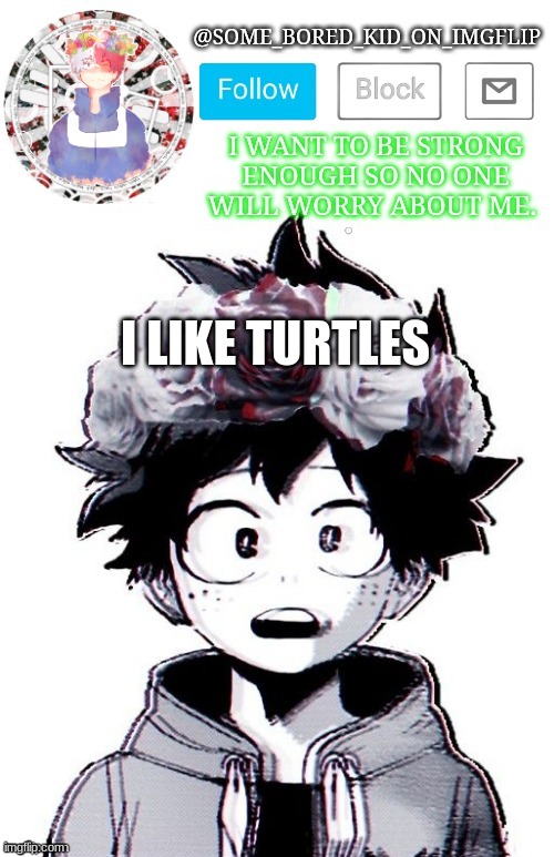Some_Bored_Kid_On_Imgflip _^_ | I LIKE TURTLES | image tagged in some_bored_kid_on_imgflip _ _ | made w/ Imgflip meme maker