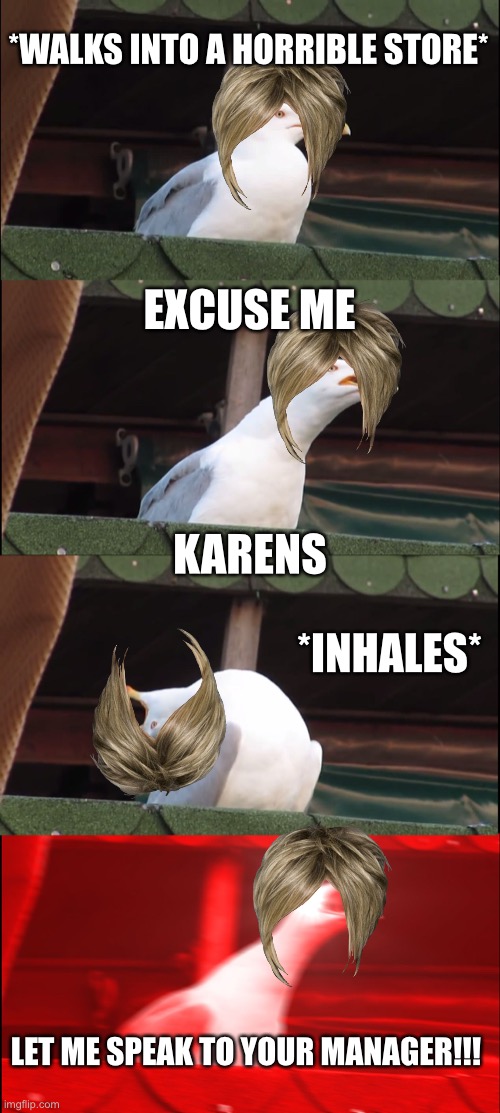 Karens | *WALKS INTO A HORRIBLE STORE*; EXCUSE ME; KARENS; *INHALES*; LET ME SPEAK TO YOUR MANAGER!!! | image tagged in memes,inhaling seagull | made w/ Imgflip meme maker