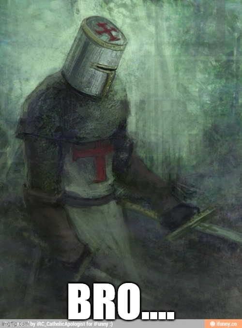 Sad Crusader | BRO.... | image tagged in sad crusader | made w/ Imgflip meme maker