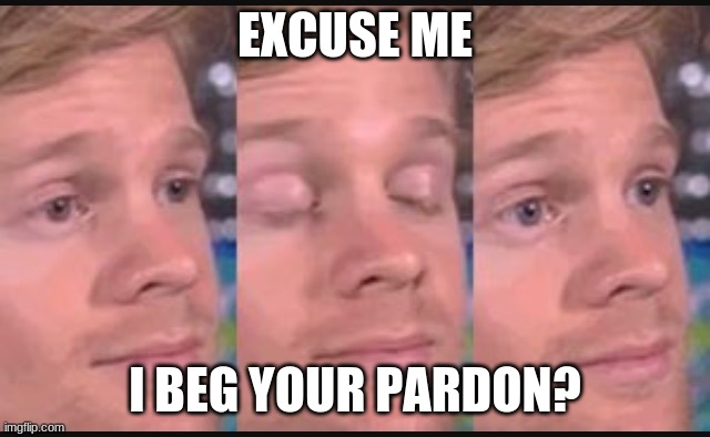 Blinking guy | EXCUSE ME I BEG YOUR PARDON? | image tagged in blinking guy | made w/ Imgflip meme maker