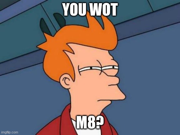 Futurama Fry Meme | YOU WOT M8? | image tagged in memes,futurama fry | made w/ Imgflip meme maker