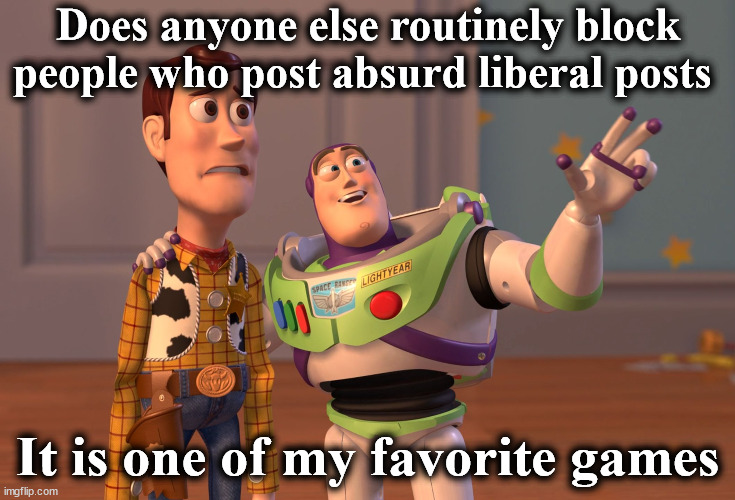 X, X Everywhere | Does anyone else routinely block people who post absurd liberal posts; It is one of my favorite games | image tagged in memes,x x everywhere | made w/ Imgflip meme maker