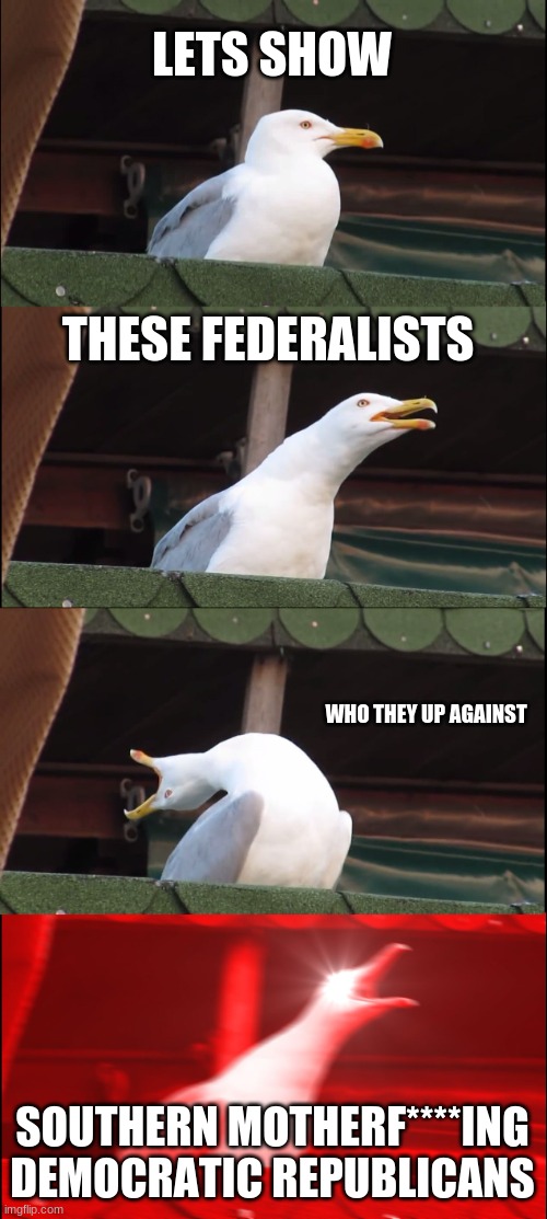 why no one made this yet | LETS SHOW; THESE FEDERALISTS; WHO THEY UP AGAINST; SOUTHERN MOTHERF****ING DEMOCRATIC REPUBLICANS | image tagged in memes,inhaling seagull | made w/ Imgflip meme maker