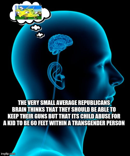 thats why they listen to trump, their brains are too small to think for themselves | THE VERY SMALL AVERAGE REPUBLICANS BRAIN THINKS THAT THEY SHOULD BE ABLE TO KEEP THEIR GUNS BUT THAT ITS CHILD ABUSE FOR A KID TO BE 60 FEET WITHIN A TRANSGENDER PERSON | image tagged in small brain | made w/ Imgflip meme maker