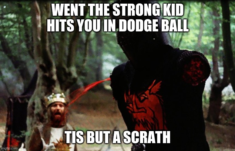 Monty Python Black Knight | WENT THE STRONG KID HITS YOU IN DODGE BALL; TIS BUT A SCRATH | image tagged in monty python black knight | made w/ Imgflip meme maker