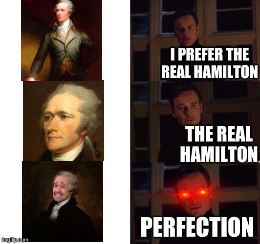 xD | I PREFER THE REAL HAMILTON; THE REAL HAMILTON; PERFECTION | image tagged in perfection | made w/ Imgflip meme maker