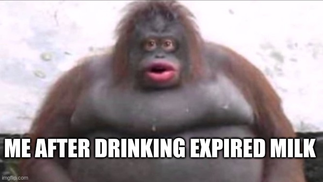 RETURN TO MONKE | ME AFTER DRINKING EXPIRED MILK | image tagged in monke,milk | made w/ Imgflip meme maker