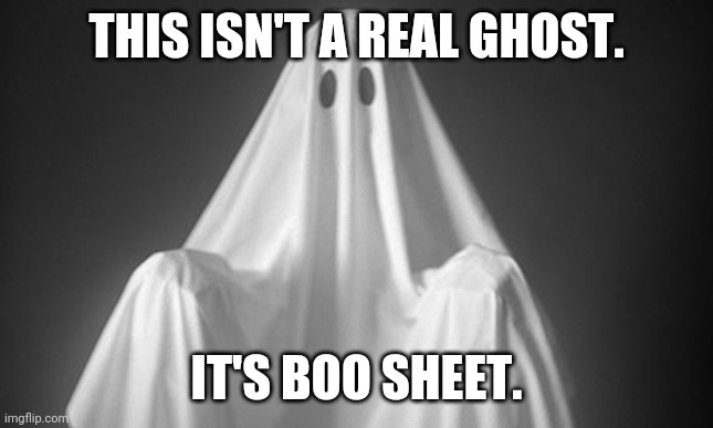 Boo Sheet | THIS ISN'T A REAL GHOST. IT'S BOO SHEET. | image tagged in ghost,jokes,humor | made w/ Imgflip meme maker