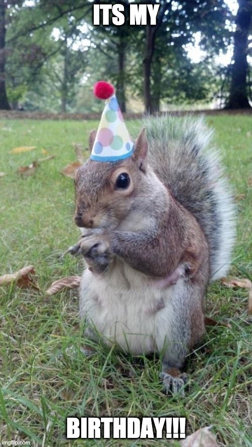 :DD |  ITS MY; BIRTHDAY!!! | image tagged in memes,super birthday squirrel | made w/ Imgflip meme maker