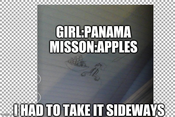 i havent been on dis steam for a long time | GIRL:PANAMA
MISSON:APPLES; I HAD TO TAKE IT SIDEWAYS | image tagged in drawing | made w/ Imgflip meme maker