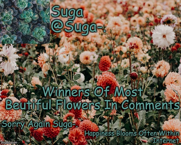 Suga-. Floral Temp | Winners Of Most Beutiful Flowers In Comments; Sorry Again Suga-. | image tagged in suga- floral temp | made w/ Imgflip meme maker