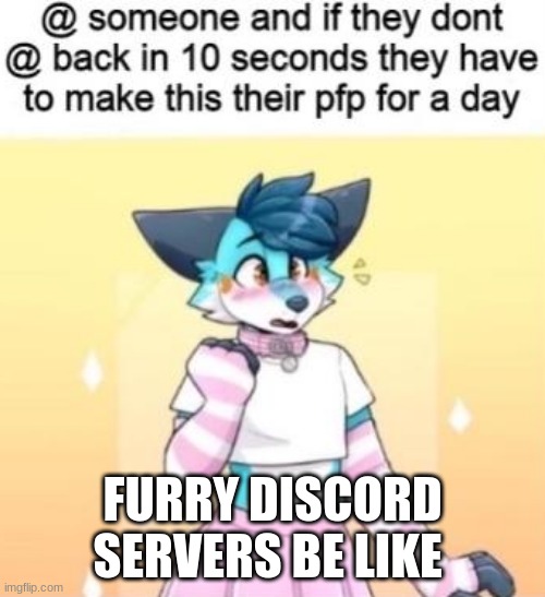 furry nsfw discord server