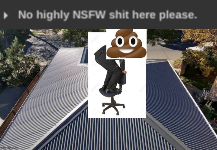 *Posts highly sensitive NSFW shit in this hizhouse* | made w/ Imgflip meme maker