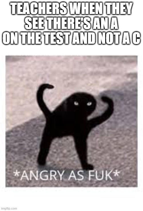 Angery as Fuk | TEACHERS WHEN THEY SEE THERE'S AN A ON THE TEST AND NOT A C | image tagged in angery as fuk | made w/ Imgflip meme maker