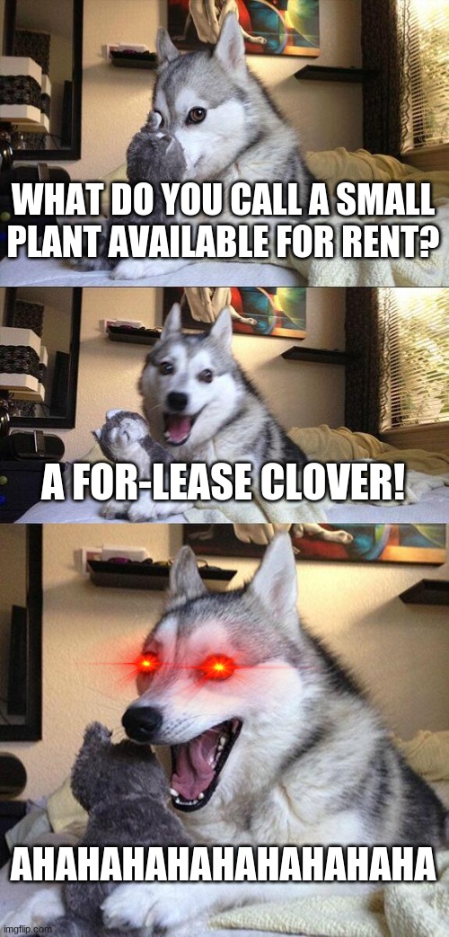 Nice one bad pun dog! | WHAT DO YOU CALL A SMALL PLANT AVAILABLE FOR RENT? A FOR-LEASE CLOVER! AHAHAHAHAHAHAHAHAHA | image tagged in memes,bad pun dog,plants | made w/ Imgflip meme maker