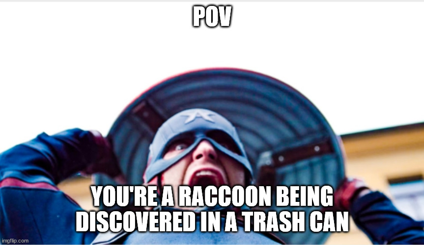 Raccoon POV | POV; YOU'RE A RACCOON BEING DISCOVERED IN A TRASH CAN | image tagged in insane us agent | made w/ Imgflip meme maker
