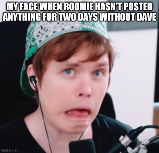 MY FACE WHEN ROOMIE HASN'T POSTED ANYTHING FOR TWO DAYS WITHOUT DAVE | image tagged in RoomieOfficial | made w/ Imgflip meme maker