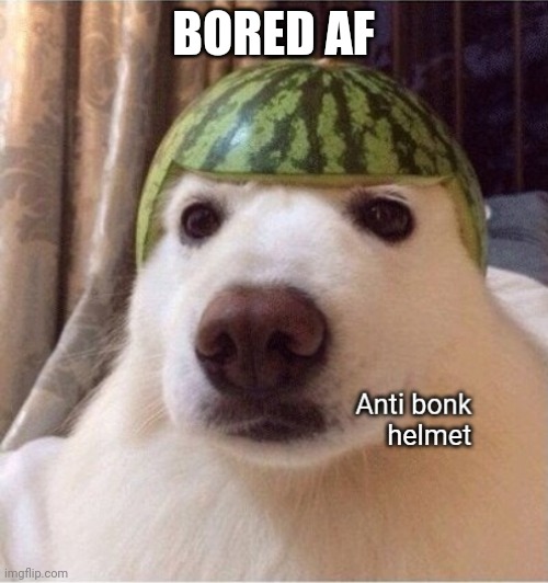 Anti bonk helmet | BORED AF | image tagged in anti bonk helmet | made w/ Imgflip meme maker