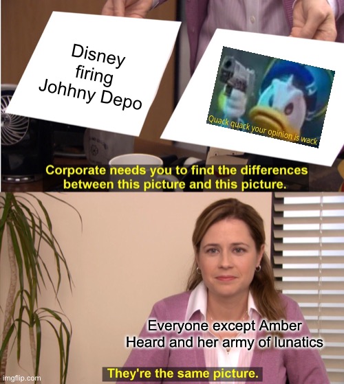 Johhny deposit must be Jack sparrow. | Disney firing Johhny Depo; Everyone except Amber Heard and her army of lunatics | image tagged in memes,they're the same picture | made w/ Imgflip meme maker