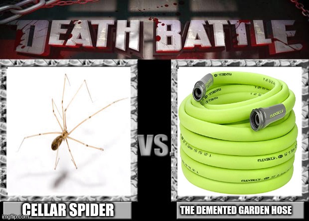 The demented garden | CELLAR SPIDER; THE DEMENTED GARDEN HOSE | image tagged in death battle,spiders,animals,garden,gardening | made w/ Imgflip meme maker