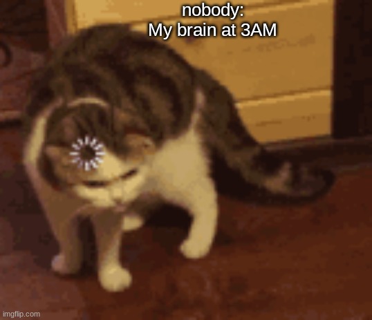 nobody:
My brain at 3AM | image tagged in loading cat,nobody,3am,relatable | made w/ Imgflip meme maker