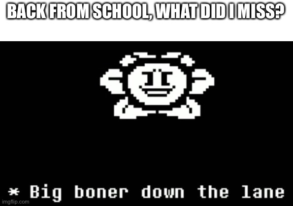 E | BACK FROM SCHOOL, WHAT DID I MISS? | image tagged in big boner down the lane | made w/ Imgflip meme maker