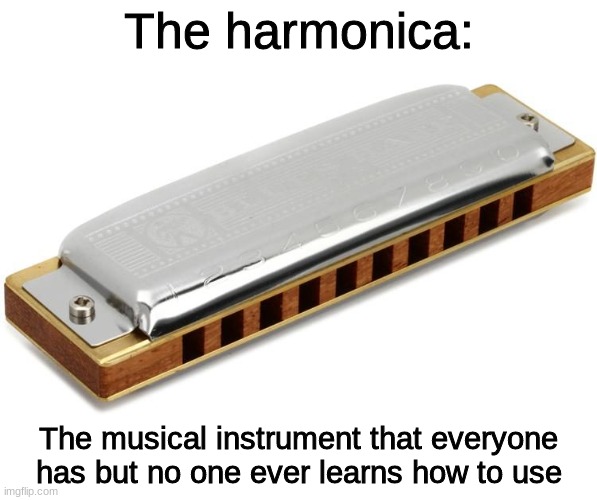 am i right or am i right | The harmonica:; The musical instrument that everyone has but no one ever learns how to use | image tagged in pointless,harmonica,memes | made w/ Imgflip meme maker