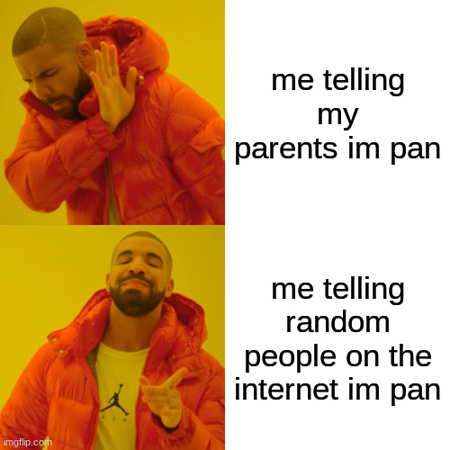 its way more supportive here | me telling my parents im pan; me telling random people on the internet im pan | image tagged in memes,drake hotline bling | made w/ Imgflip meme maker