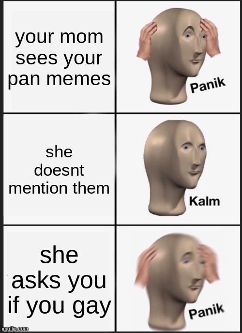 ah yes the anxiety | your mom sees your pan memes; she doesnt mention them; she asks you if you gay | image tagged in memes,panik kalm panik | made w/ Imgflip meme maker