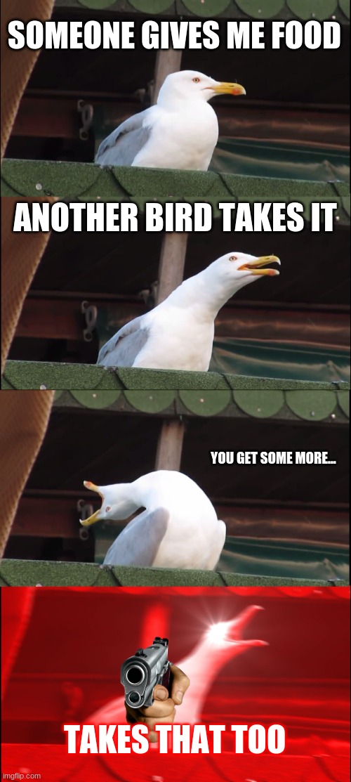 food theif | SOMEONE GIVES ME FOOD; ANOTHER BIRD TAKES IT; YOU GET SOME MORE... TAKES THAT TOO | image tagged in memes,inhaling seagull,food | made w/ Imgflip meme maker
