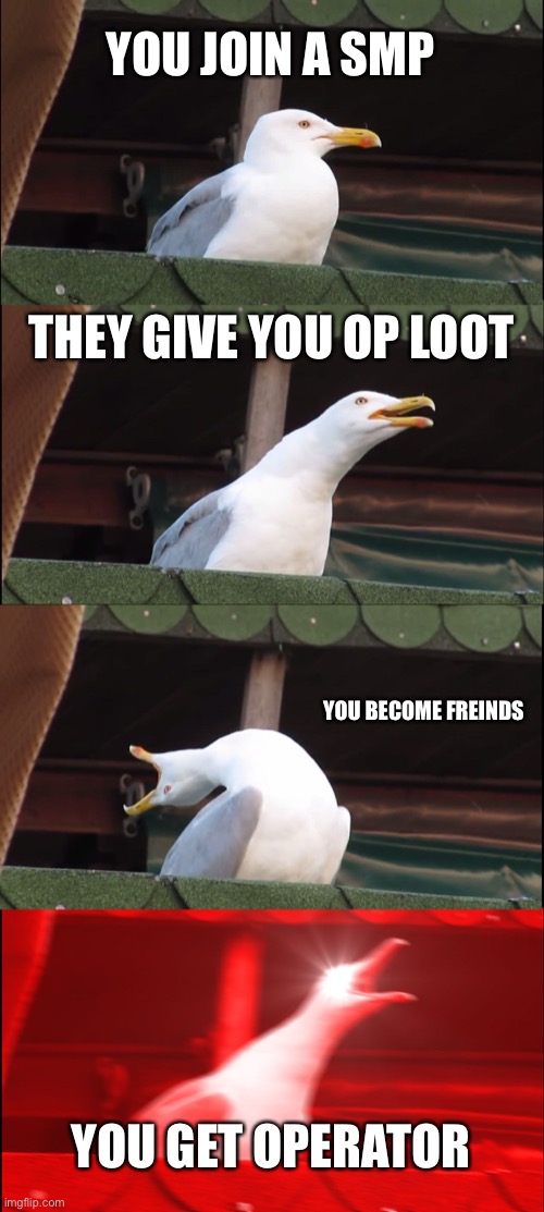 When I join a smp | YOU JOIN A SMP; THEY GIVE YOU OP LOOT; YOU BECOME FREINDS; YOU GET OPERATOR | image tagged in memes,inhaling seagull,minecraft | made w/ Imgflip meme maker