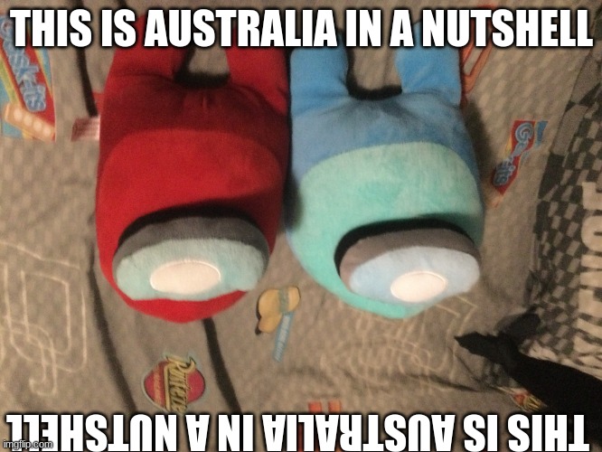 upvote if this is true | THIS IS AUSTRALIA IN A NUTSHELL; THIS IS AUSTRALIA IN A NUTSHELL | image tagged in hug my plushies | made w/ Imgflip meme maker