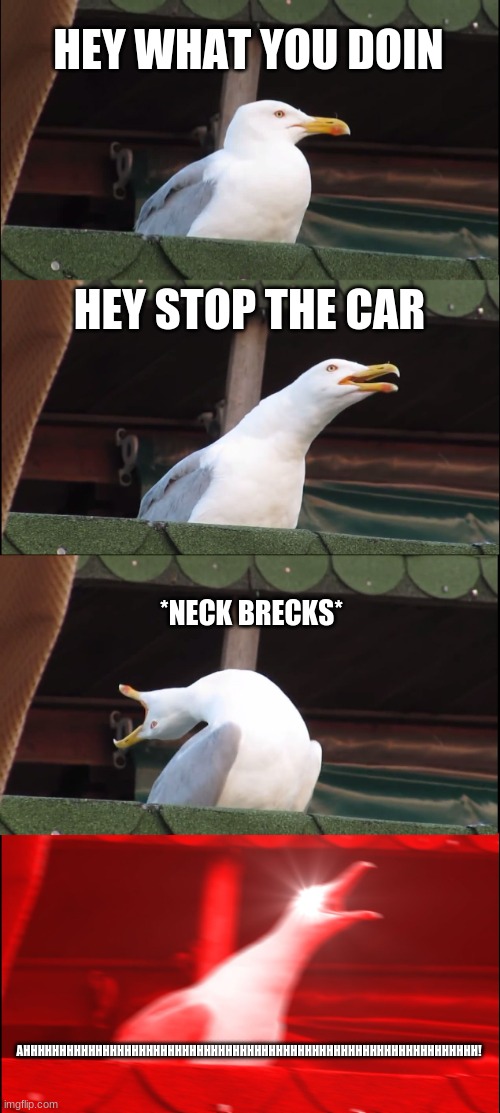 Inhaling Seagull Meme | HEY WHAT YOU DOIN; HEY STOP THE CAR; *NECK BRECKS*; AHHHHHHHHHHHHHHHHHHHHHHHHHHHHHHHHHHHHHHHHHHHHHHHHHHHHHHHHHHHHHHH! | image tagged in memes,inhaling seagull | made w/ Imgflip meme maker