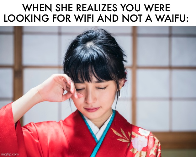 Language barrier oops | WHEN SHE REALIZES YOU WERE LOOKING FOR WIFI AND NOT A WAIFU: | image tagged in memes,waifu,wifi,japanese | made w/ Imgflip meme maker