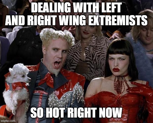 My Experience This Week | DEALING WITH LEFT AND RIGHT WING EXTREMISTS; SO HOT RIGHT NOW | image tagged in memes,mugatu so hot right now,left wing,leftists,leftist,right wing | made w/ Imgflip meme maker